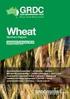 Pest risk assessment of wild oats (Avena fatua) as an indirect plant pest in Norway