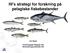 HI s strategi for forskning på pelagiske fiskebestander
