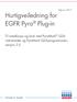 Hurtigveiledning for EGFR Pyro Plug-in