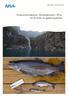 RAPPORT L.NR Fiskeundersøkelse i Ringedalsvatn i 2014, ett år etter et gjødslingstiltak
