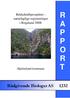 R A P P O R. Rådgivende Biologer AS Bekkekløftprosjektet naturfaglige registreringer i Rogaland 2008: Hjelmeland kommune