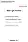 Blikk på Norden. 1. Konjunkturutvikling i Norden. 2. Blikk på arbeidsmarkedene i Norden. 3. Utfordringer for den nordiske modellen