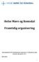 Helse Møre og Romsdal. Framtidig organisering. Høyringsutkast frå arbeidsgruppe oppnemnt av administrerande direktør september 2011