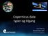 Copernicus data typer og tilgang