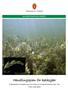 MILJØVERNAVDELINGEN. Handlingsplan for kalksjøer. Undersøkelse av kalksjøer og en kort omtale av tre brakkvannsforekomster i Ytre Hvaler nasjonalpark