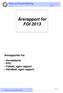 Årsrapport for FGI 2013