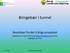 Bringebær i tunnel. Resultater fra det 4 årige prosjektet. Rapporten vil være å finne på  innen utgangen av mars