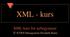 XML - kurs. XML-kurs for nybegynnere. ICONS Management Elisabeth Buntz