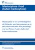 Mastocytose i hud (kutan mastocytose)