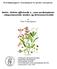 Salvie, Salvia officinalis L., som medisinplante - eksperimentelle studier og litteraturoversikt
