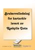 Brukerveiledning for kartarkiv levert av Konkylie Data