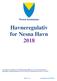 Nesna kommune Havneregulativ for Nesna Havn 2018