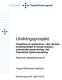 Utviklingsprosjekt: Nasjonalt topplederprogram. Vegard Øksendal Haaland