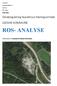 ROS- ANALYSE LEKSVIK KOMMUNE. Detaljregulering Skavelmyra Næringsområde. Utarbeidet av Antonios Bruheim Markakis