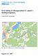 Overvåking av lakseparasitten G. salaris i Steinkjerregionen. av fiskeforvalter Anton Rikstad