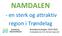 NAMDALEN. - en sterk og attraktiv region i Trøndelag. Namdalsstrategien Strategidokument for Namdal regionråd