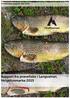 itrollheimen rapport, Rapport fra prøvefiske i Langvatnet, Helgetunmarka 2015 itrollheimen AS