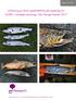 Utfisking av rømt oppdrettsfisk på oppdrag for OURO i utvalgte vassdrag i Sør-Norge høsten 2017