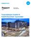 Rapport. Turproduksjon knyttet til hotellvirksomhet i byområder. Maria Amundsen Ingunn Opheim Ellis 100/2017