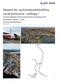 Rapport by- og knutepunktutvikling Larvik kommune - vedlegg 1