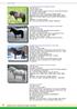 SHETLAND HINGSTEKATALOG 2008 NORSK PONNIAVLSFORENING