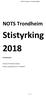 Stistyrking NOTS Trondheim. Forslag og plan. NOTS Trondheim Stistyrking Skrevet av Erik Skontorp Hognes.