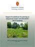 Rapport fra pilotfasen for planting av skog på nye arealer som klimatiltak i Nord Trøndelag