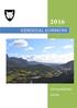 HEMSEDAL KOMMUNE TERTIALRAPPORT 1/2016