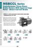 MSBCCL Series Asynchronous Three-Phase Brake Motors With Squirrel Cage Rotor Direct Current Brake