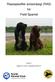 Rasespesifikk avlsstrategi (RAS) for Field Spaniel