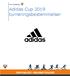 Vind Idrettslag. Adidas Cup 2019 turneringsbestemmelser