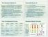 Standard Model (2) The Standard Model (1) Four Fundamental Forces. Standard Model Particles