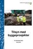 Tilsyn med byggeprosjekter