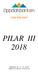 -oss bry oss! PILAR III 2018