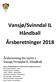 Vansjø/Svinndal IL Håndball Årsberetninger 2018