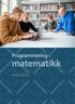 Programmering i. matematikk. Knut Skrindo