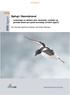 1616b Sjøfugl i Barentshavet - vurderinger av sårbare arter, bestander, områder og perioder basert på nyeste kunnskap (revidert utgave)