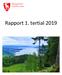 Rapport 1. tertial 2019